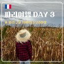 부여여인숙 | [파리] DAY3 :: 뤽상부르공원 피크닉, 파리 근교 지베르니/고흐마을 투어로 마무리한 하루