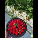 장희농장 이미지