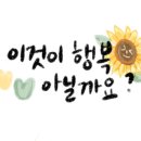 광주미트 - 광산구 | 광주미트