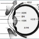 老眼은 자연스러운 것… 늦게 오게 할 수는 있다 이미지