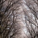 고남저수지 이미지