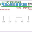 2017년 대구광역시교육감배 학교스포츠클럽 플로어볼 본선대회 참가팀 및 대진표 이미지