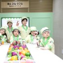 과일연구소