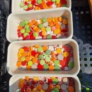 덕성초등학교 병설 이미지