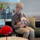 잠101호텔 | 킴튼 다안 타이베이 호텔 애견 동반 객실 I 강아지랑 대만 여행 EP.16