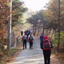 동산, 작성산 산행기 (정리분) 이미지