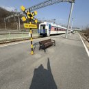 유정펜션 | 서울 근교 여행 춘천 1박2일 냠냠쩝쩝 먹방여행 유정명물닭갈비 감자밭 방문후기