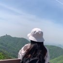 도 경계 도화동산 | 수리산 등산코스 추천 명학역에서 관모봉 태을봉까지 ㅣ 등산초보도 가능한 산행 후기
