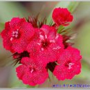 달맞이펜션 이미지