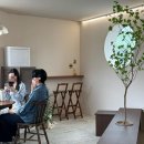 소로3-131 | 공주 신상 밤디저트 카페 마롱드공주 크렘드마롱보다 맛있는 밤쨈밀푀유