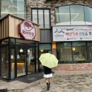 복터진집 이미지