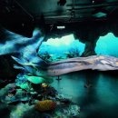 낙하목장 이미지