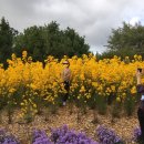 경인아라뱃길 정서진 관광안내소 이미지