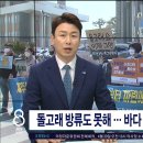 [JIBS] 제주, 돌고래 방류도 못해…바다 쉼터는 이제야 검토 이미지