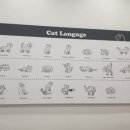 캣플헤븐 AK플라자금정점 이미지