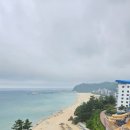 삼척쏠비치워터파크 수영장 오션플레이 푸드코트 비오고흐린날씨 후기