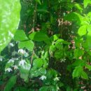 박진희약국 이미지