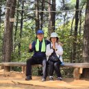 산성동북초등학교 정후문 | 한글날 관악산둘레길 남강고~삼성산성지~호압사~호암산~한우물~칼바위전망대~호암늘솔길 산행후기