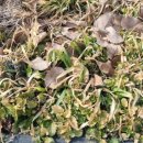 광용농장 이미지