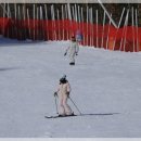 엘리시안 강촌 스키장 | 엘리시안 강촌 스키장 렌탈샵 및 스키강습 방문 후기