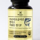 에이리드 이미지