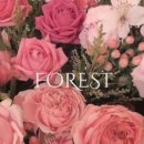 마이포레스트 | 마이포레스트스냅 계약후기 | 고려대 교우회관 아이폰스냅 업체 비교 솔직후기