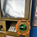 바디스 짐 | 모알보알 여행의 시작과 끝 | 쿠오 바디스 다이브 리조트 후기