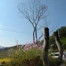 매동마을 회관 이미지