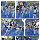 국가대표 참 태권도장 이미지