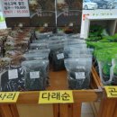 터골농원 네이버블로그