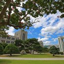 동국대학교 이미지