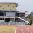 완도초등학교 앞 이미지