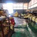 운곡호스릴-8 | 경기도 김포시 통진읍 공장 우수관 막힘 – 폭우로 인한 고압세척 작업 후기