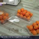 별빛촌한우 | 청춘에살리라 영천 복숭아 파는 곳 택배 구매 방법 및 체험 교육 농장 연락처 알아보기 - 6시내고향...