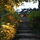 페트라숯불구이 이미지