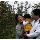 도겸농장 이미지