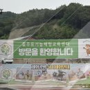 [충주 Trip] 충주 아이랑 숙소 추천 :: 유기농체험교육센터 동물카라반 후기