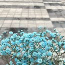 예주약국 - 양천구 목동서로 67 | 예주약국