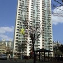 목련로153번길 이미지