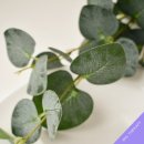 비에이치엘 테라피 이미지