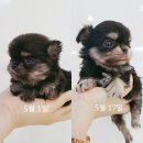 홈브리딩
