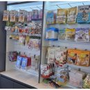 도그마루 이미지