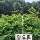 전원농장 이미지