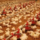 헵시바농원 이미지