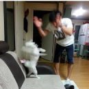 케이제주 이미지