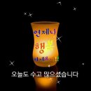 카멜리아 이미지