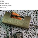 까치열쇠 이미지