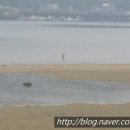 배알도수변공원 이미지