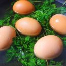 국화차 넣고 삶은~ 계란🥚 이미지