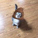 김수아미용실